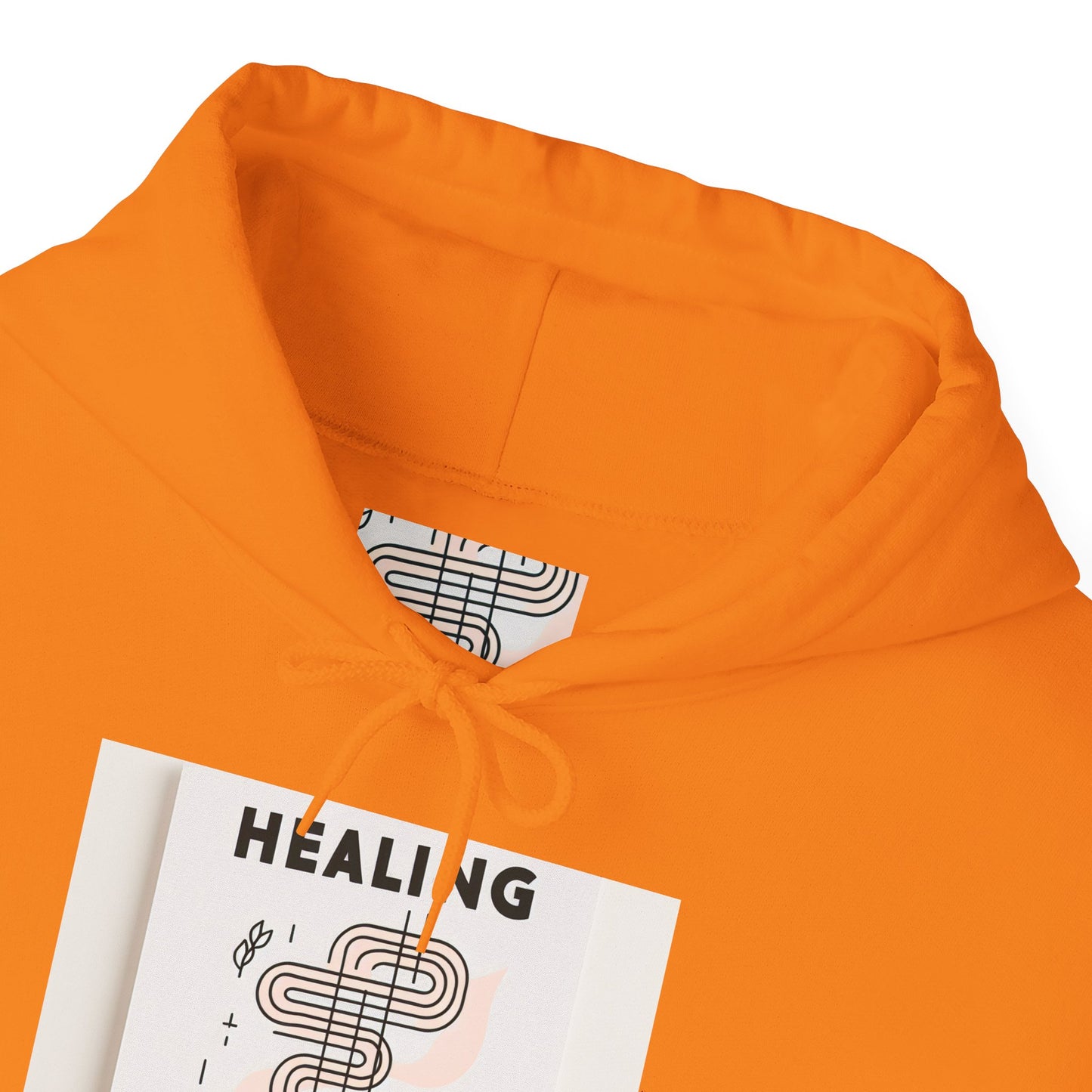 Healing is Not Linear Hoodie